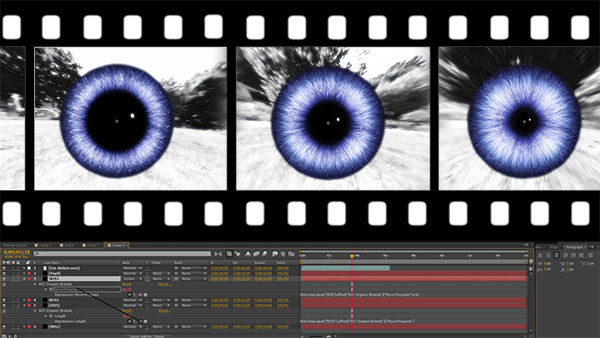 Boris TV, All About Eyes, Part II: Iris Dilation