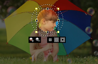 Mask editing options in the Pan/Crop window.